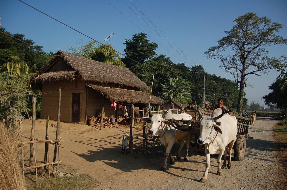 Machan Country Villa Kumarwarti Dış mekan fotoğraf