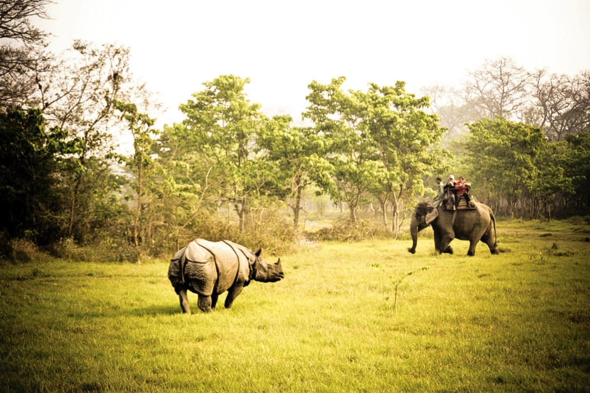 Machan Country Villa Kumarwarti Dış mekan fotoğraf